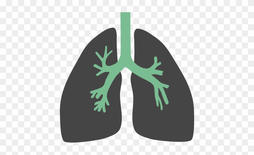 Asthma - Lungs Flat Icon Png #426185