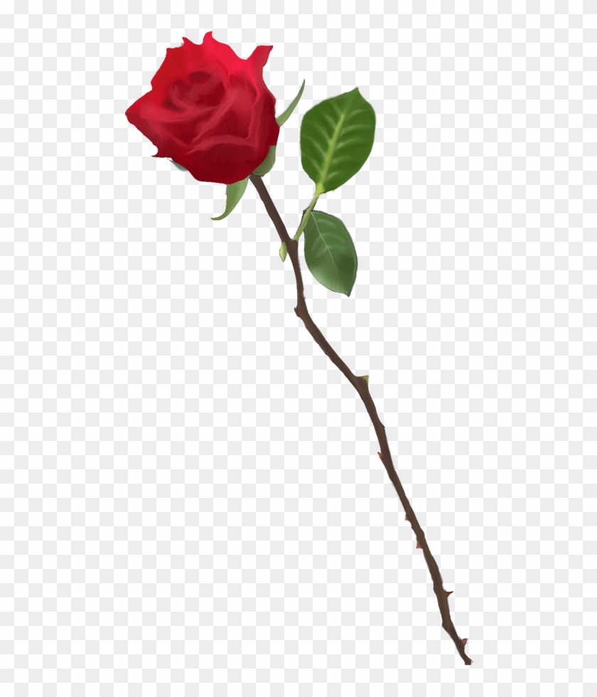 Drawn Red Rose Transparent - Rose Stems With Thorns #426334