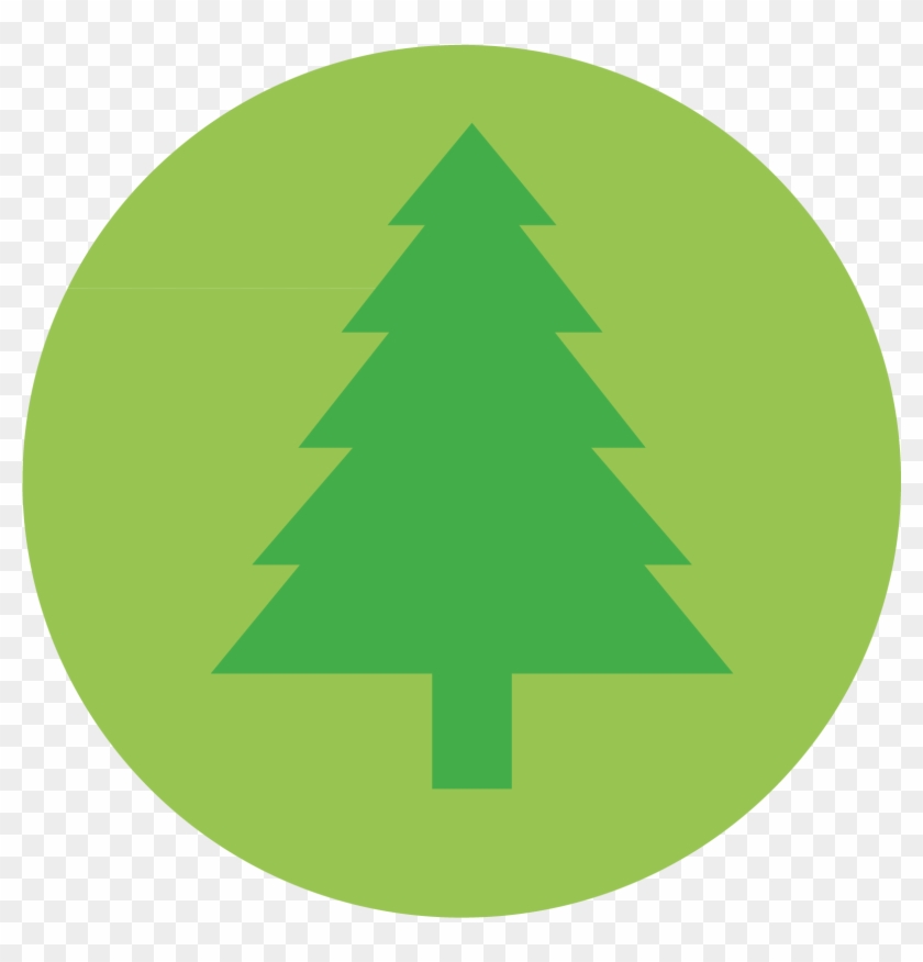 Tree Icon Conservation Icon Image - Fir Tree Icon Png #426337