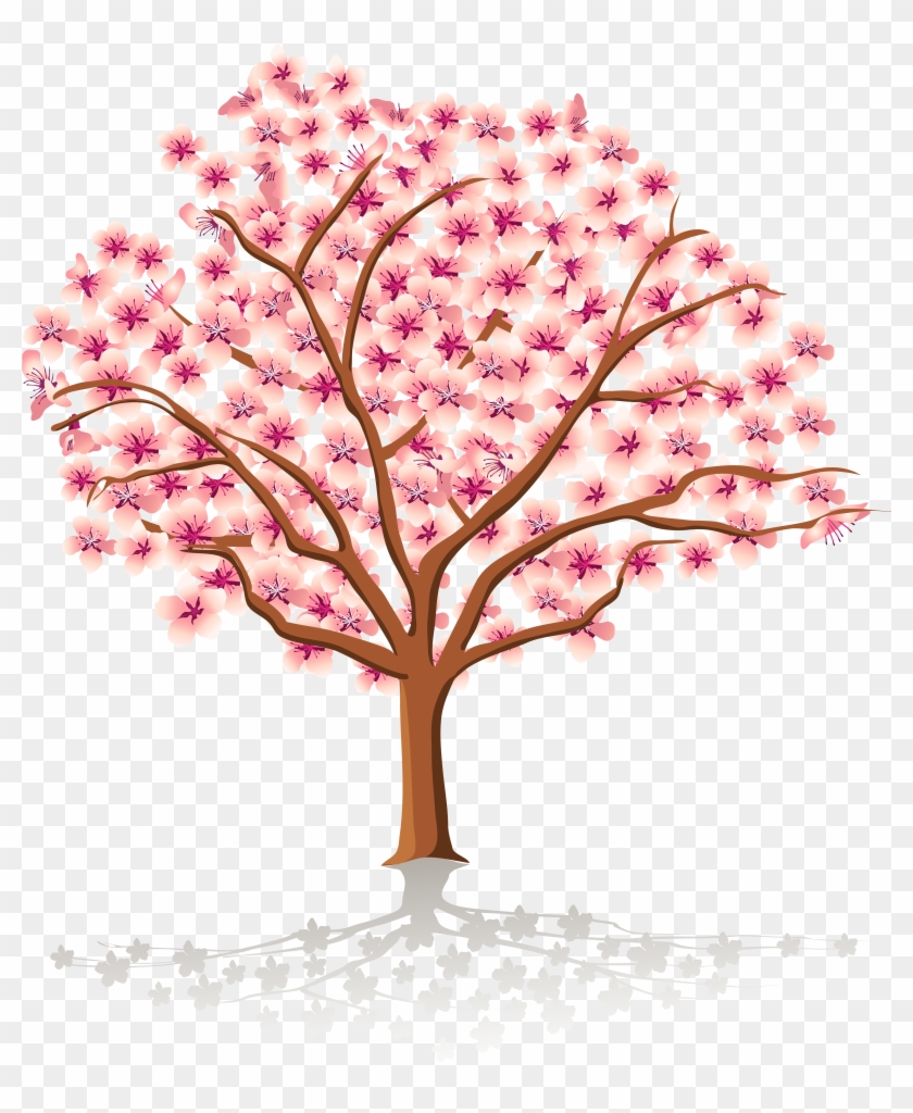 Cherry Tree Stock Images, Royalty Free Images Vectors - Spring Tree Clipart #426597