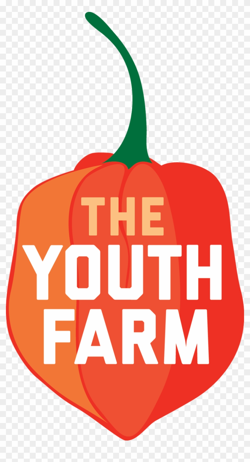 The Youth Farm Is An Educational Production Farm In - Earth #426590