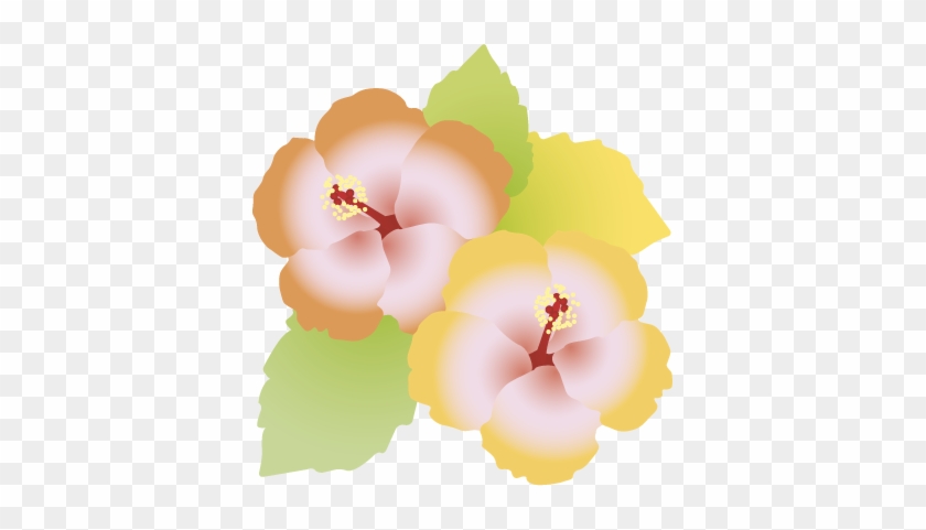 ハイビスカス, ハイビスカス - Illustration #426656