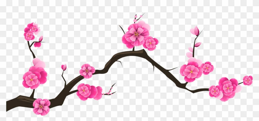 Sakura Branch Transparent Clip Art Image - Transparent Background Cherry Blossom Clip Art #426682