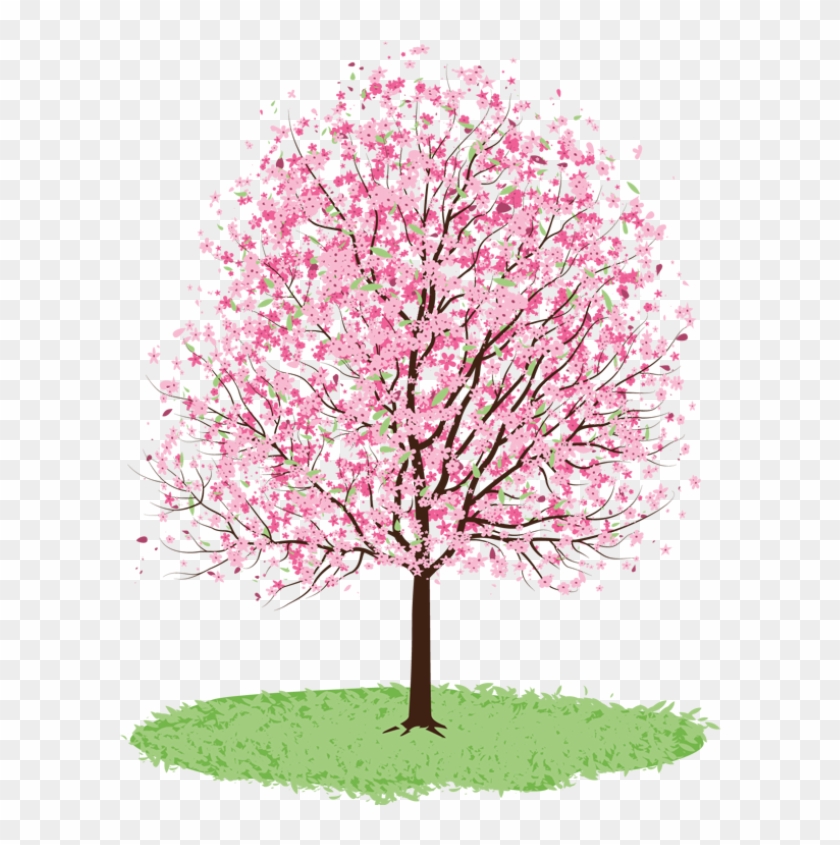 Spring Tree Cliparts - Cherry Blossom Tree Transparent #426684