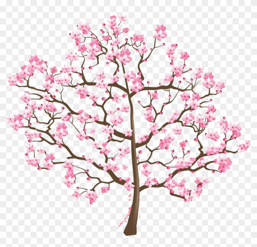 Cherry Blossom Tree Suzuki Association Of The Americas - Cherry Blossom #426695