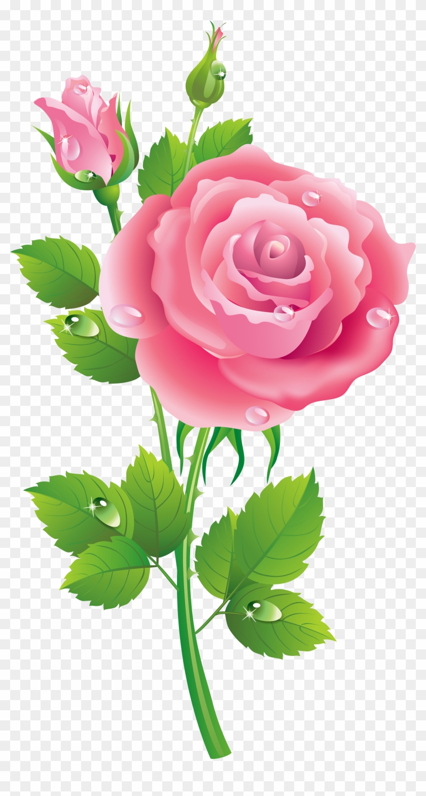 Garden Roses Music Centifolia Roses Clip Art - Garden Roses Music Centifolia Roses Clip Art #427220