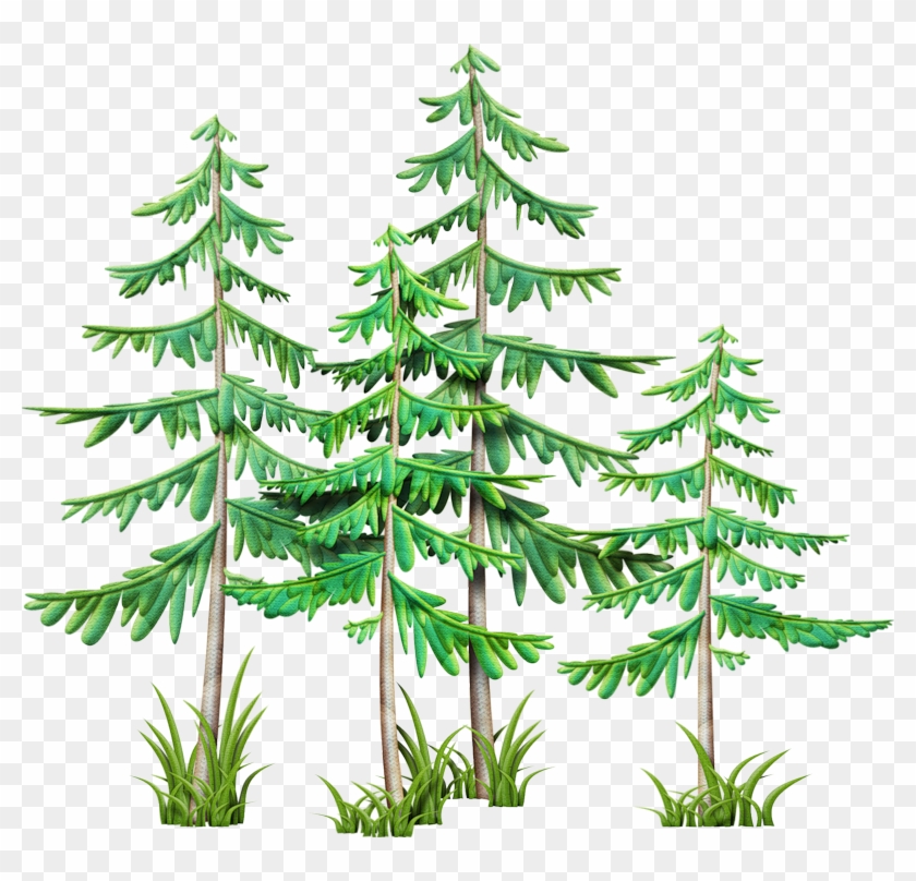 Clip Art, Camping Stuff, Branches, Pine, Mountain, - Christmas Tree #427053