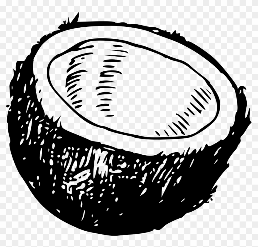 Coconut Clipart Black And White - Black And White Coconut #427155