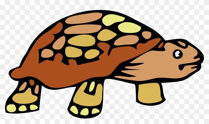 Tortoise Clipart - Tortoise Clipart #427207