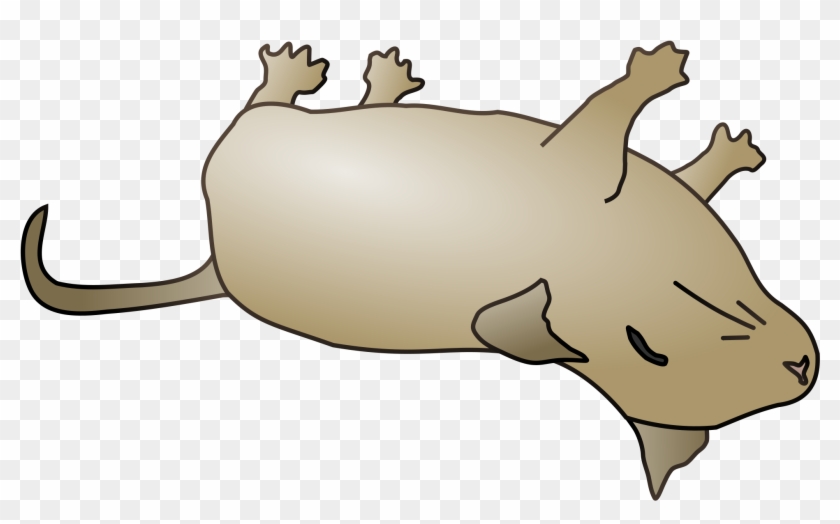 Dead Clipart Dead Mouse - Dead Animal Cartoon Png #427416