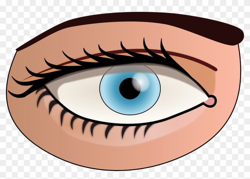 Eye Face Human Body Blue Png Image - Parts Of The Body Eye #427520