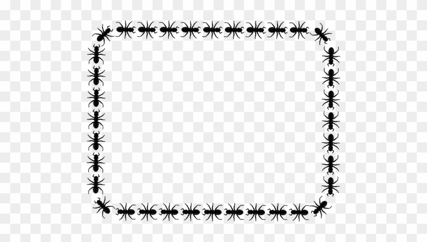 Ant Border Clip Art - Ant Border Png #427943