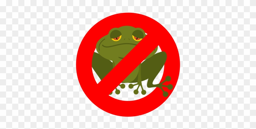 Stop Frog - Amphibians #428193