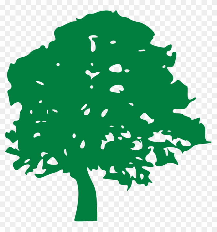 Tree Drawing Green Branches Png Image - Free Oak Tree Graphic #428470