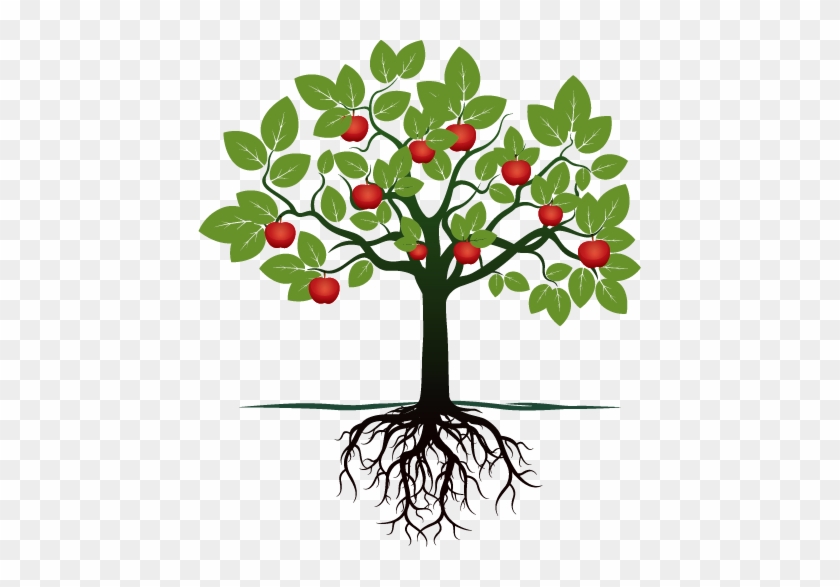 Fruit Tree With Roots #428591