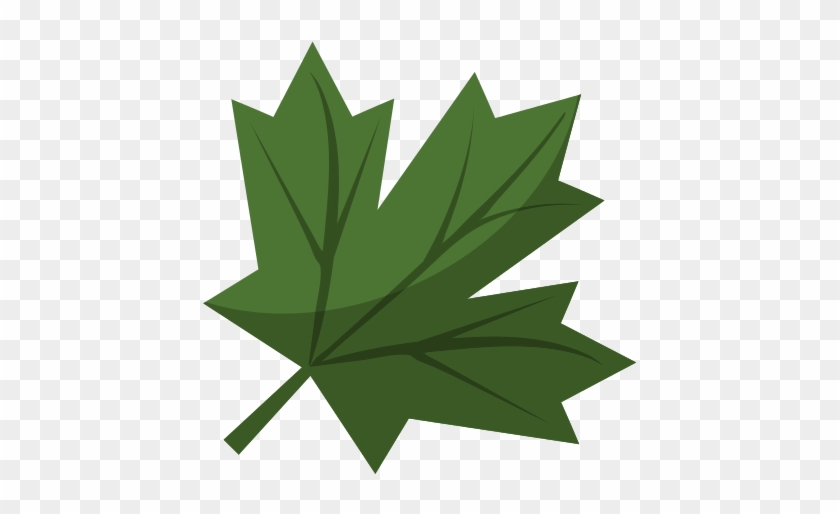 Green Maple Leaf Png - Canada Flag #428747