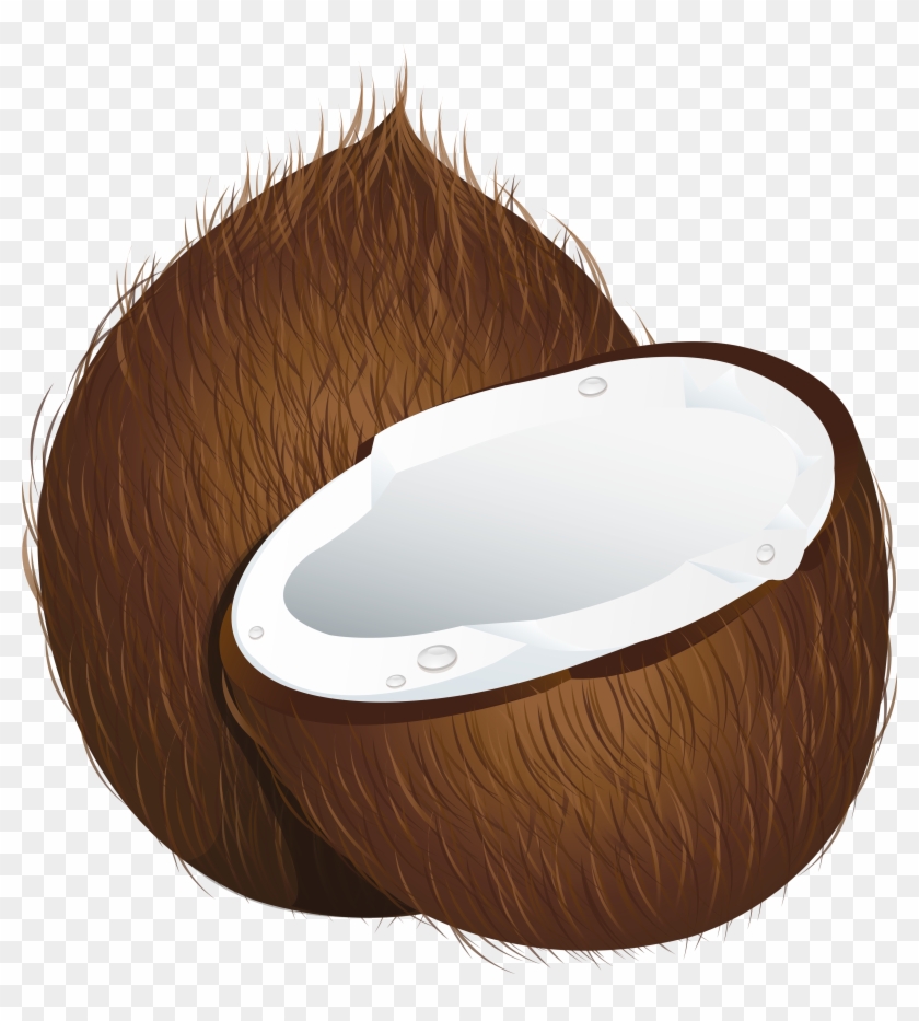 Pin Coconut Clipart - Coconuts Clipart #428824