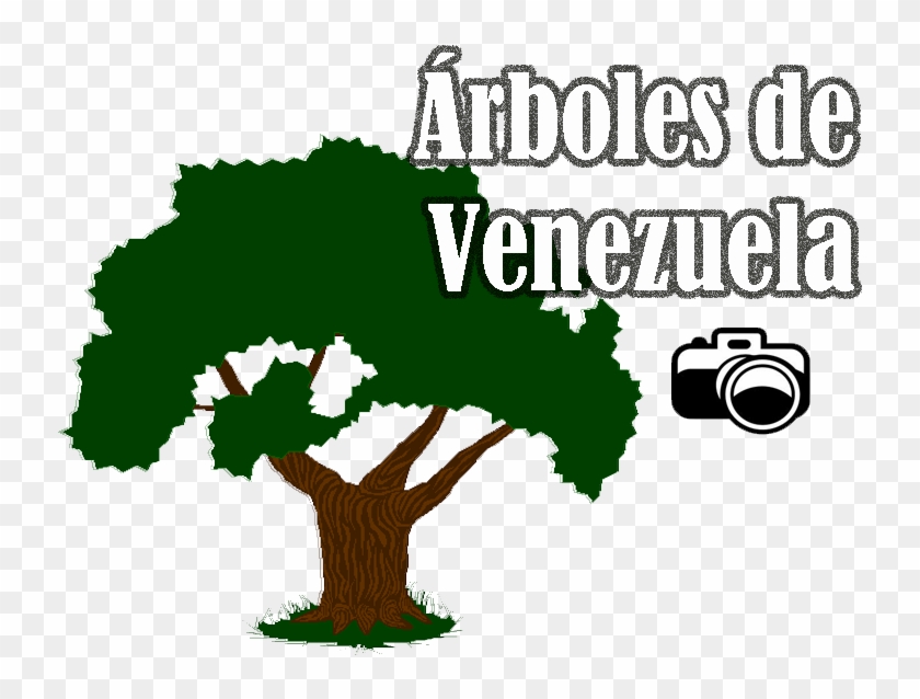 La Sociedad Amigos Del Árbol Realizará Su Primer Evento - Harwood Park Primary School #428872