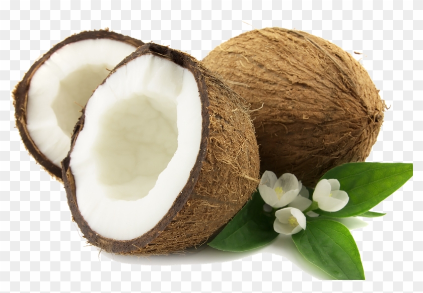 Coconut Png Png Image - Coconut Png #428926