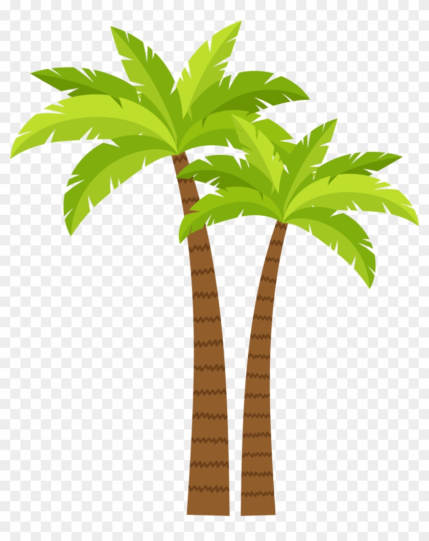 Arecaceae Coconut Tree - Coqueiro Clipart #428942