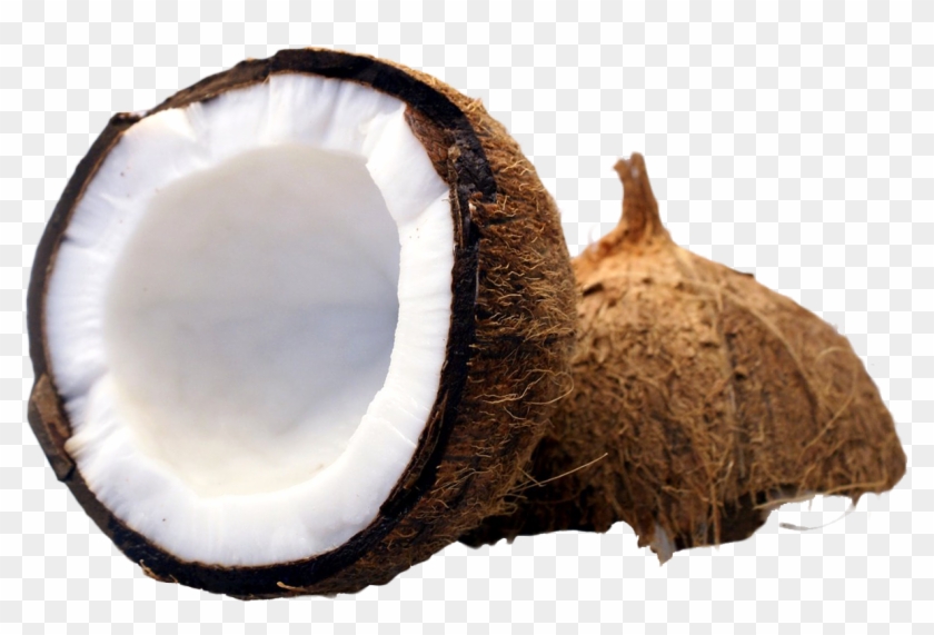 Coconut Cut In Half Png Image - Coconut Cut In Half #429005