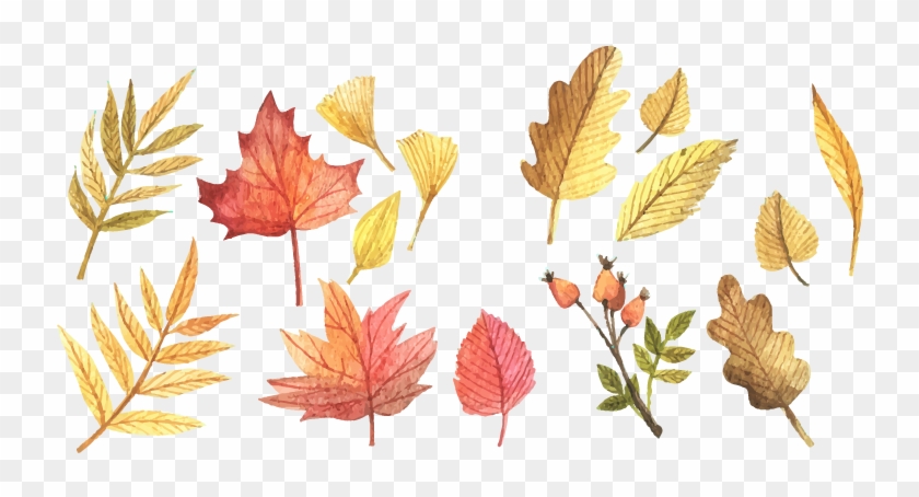 Scalable Vector Graphics Autumn Leaf Color Clip Art - Scalable Vector Graphics Autumn Leaf Color Clip Art #429074