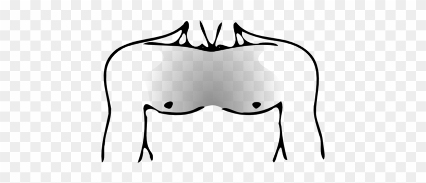 Most Common Chest Hair Pattern - Human Chest Coloring Page #429025