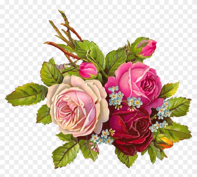 Vintage Roses - Rose #429203