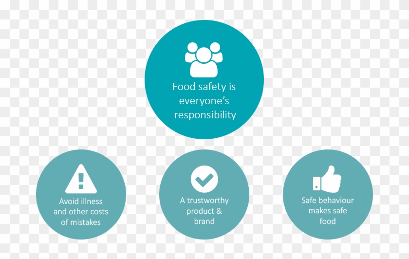 Food Safety Is Everyone's Responsibility - Food Safety #429210