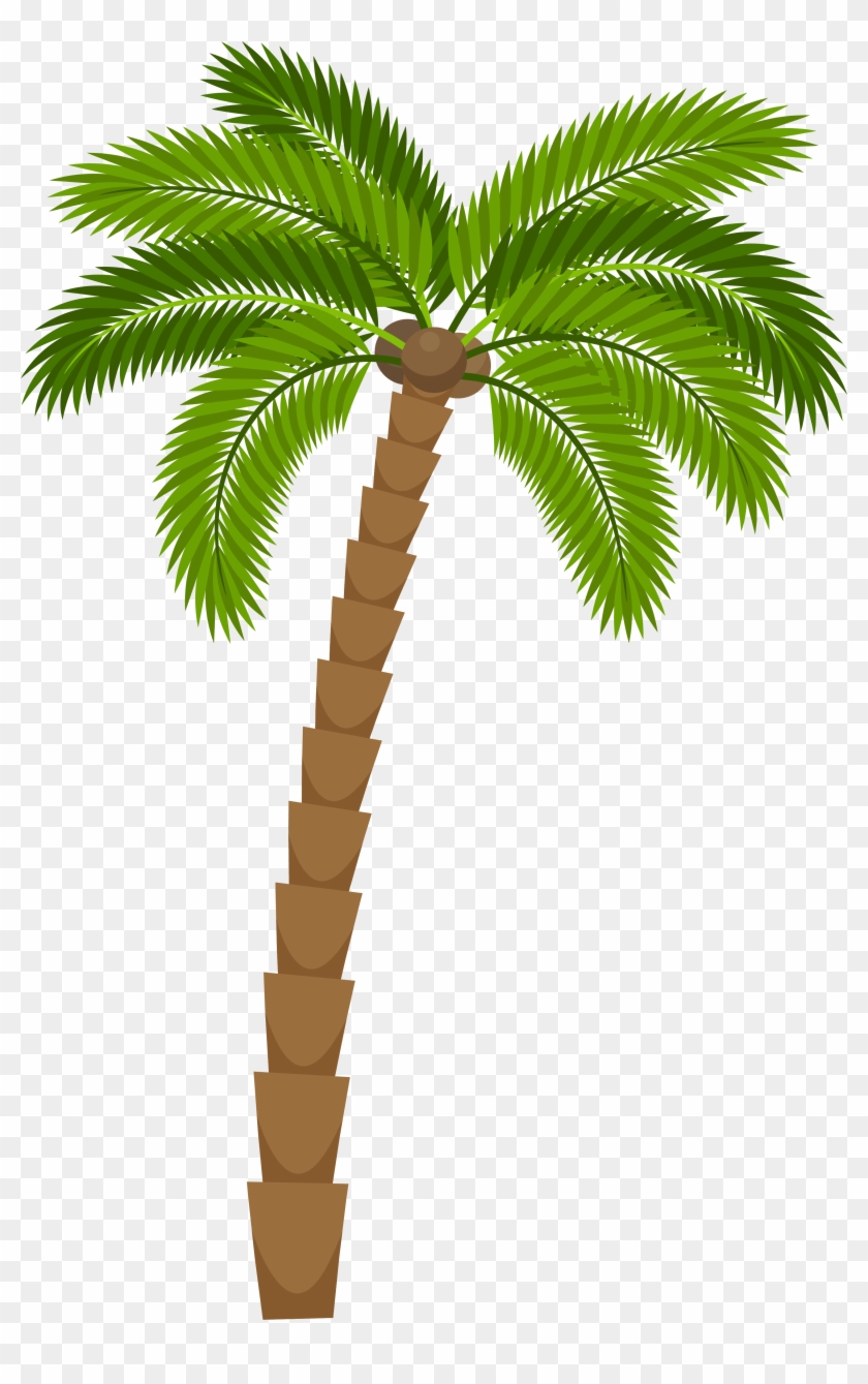 How To Draw A Coconut Tree | Easy Draw For Kids-saigonsouth.com.vn