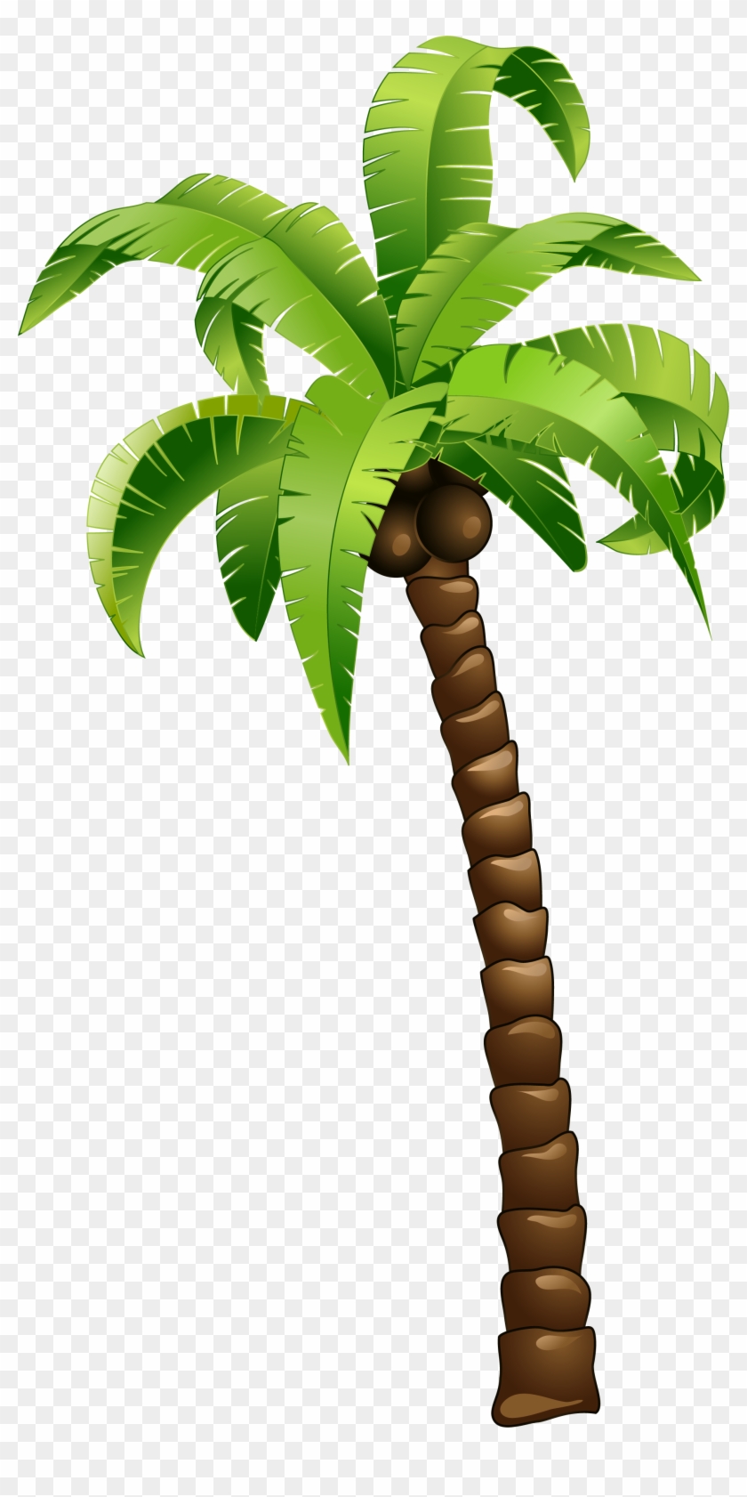 Cartoon Green Coconut Tree - Cartoon Palm Tree Png #429278