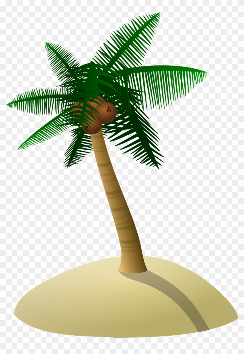 Coconut Tree Palm Tree Dune Tree Png Image - Gambar Pohon Kelapa Kartun #429282