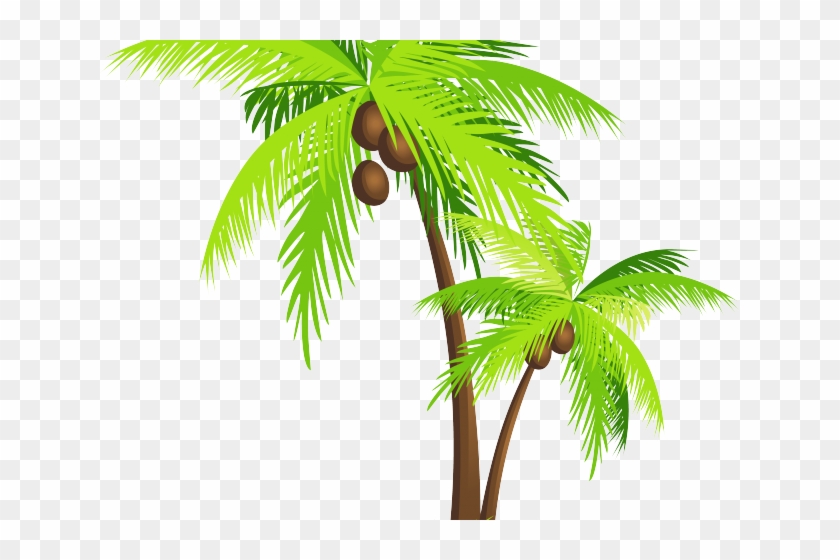 Coconut Clipart Pohon Kelapa - Coconut Tree Png #429331