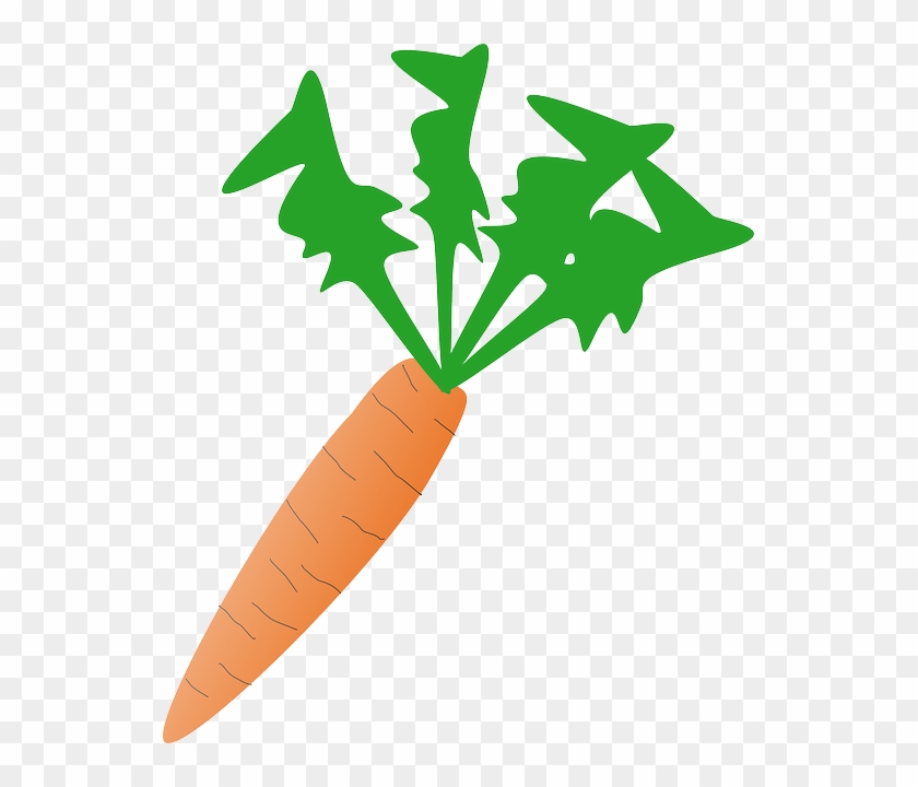 Food, Cartoon, Free, Salad, Plant, Carrot, Vegetable - Carrot Clip Art #429332