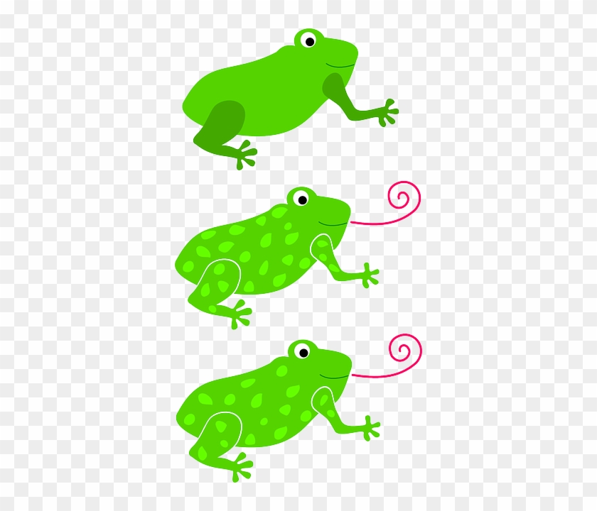 Spots Frogs, Three, Green, Cartoon, Tongue, Different, - Grenouille Clipart #429379