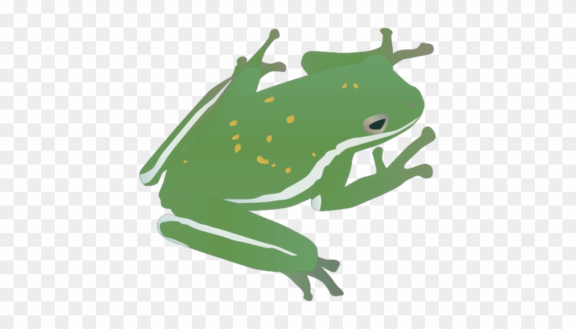 Tree Frog Svg - カエル イラスト フリー 商用 #429380