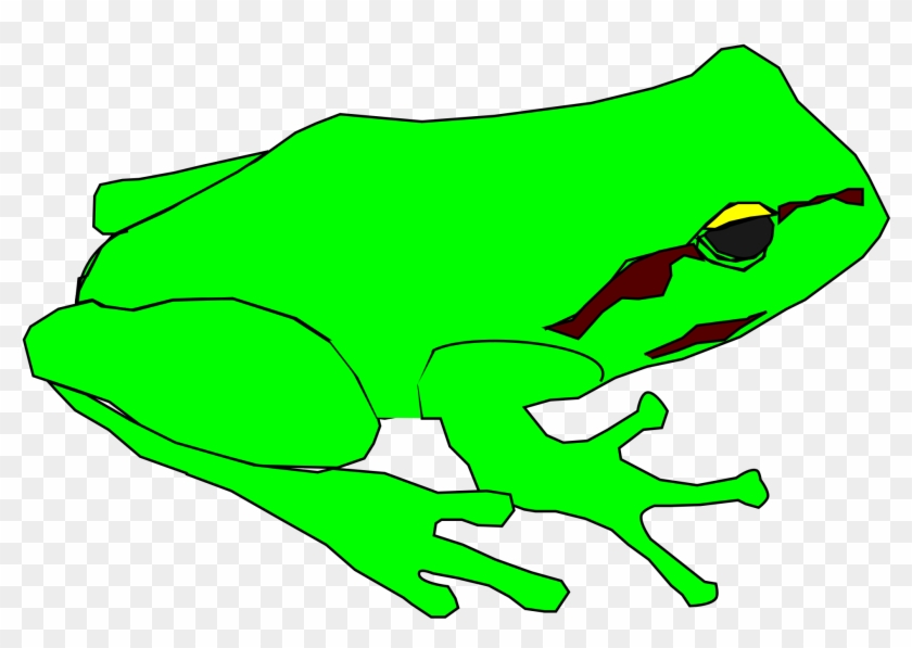 Green Frog Svg - Scalable Vector Graphics #429384