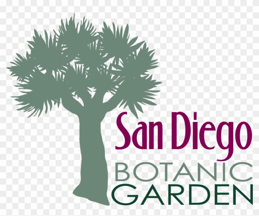 San Diego Botanic Garden - San Diego Botanic Garden #429514