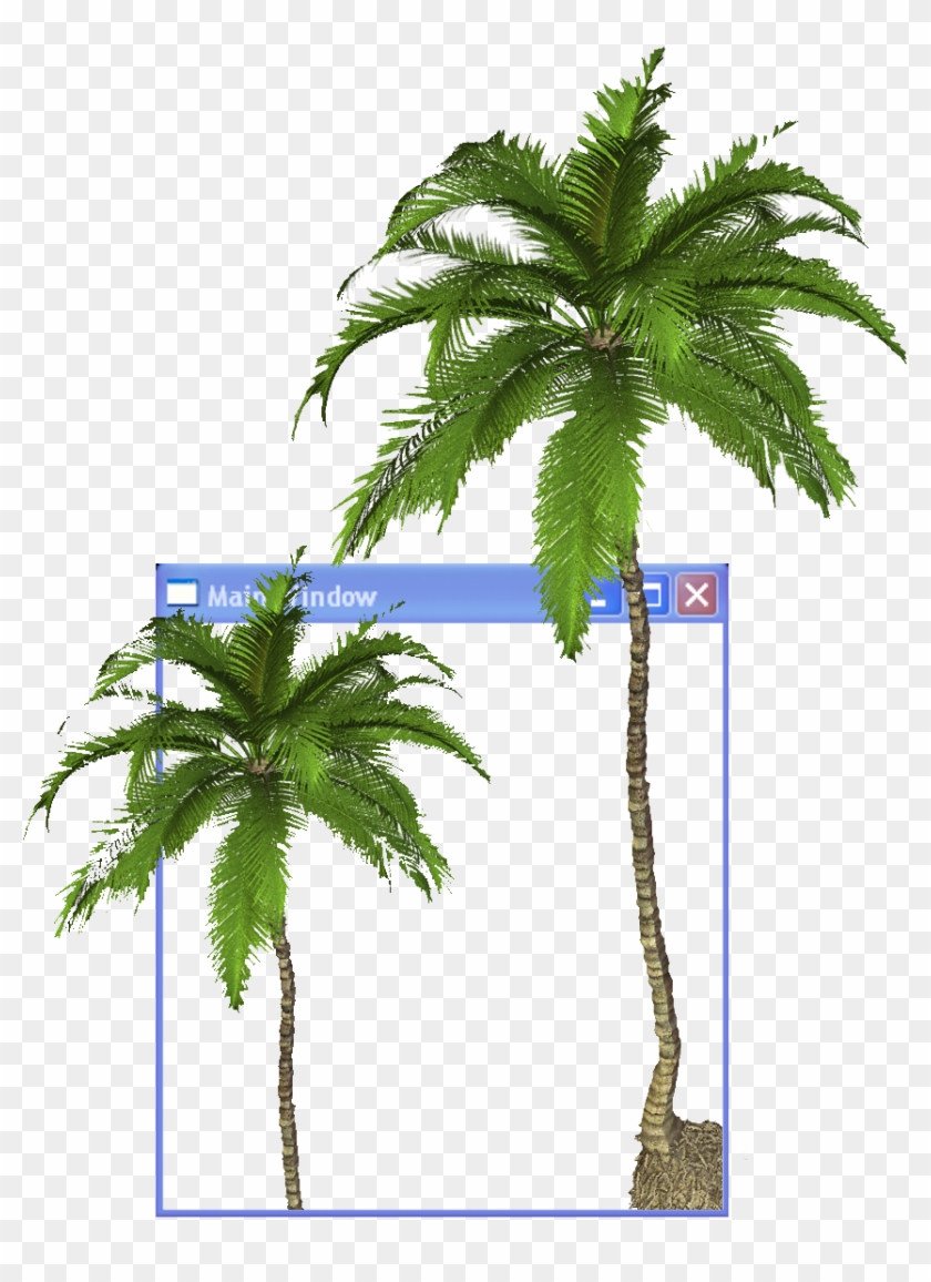 Arecaceae Youtube Aesthetics Clip Art - Coconut Tree Transparent Background #429685