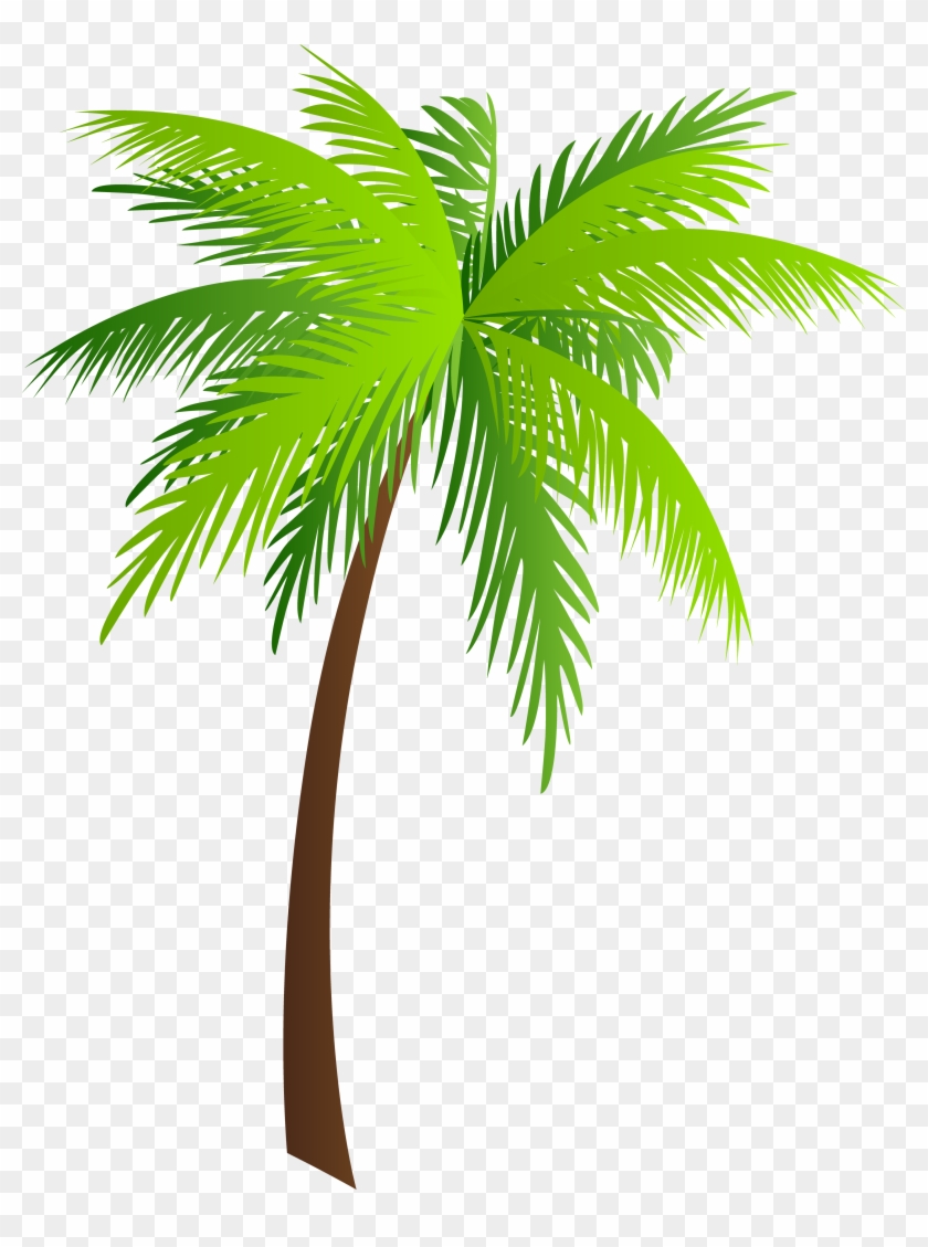 Arecaceae Coconut Ichumma's Inn Clip Art - Arecaceae Coconut Ichumma's Inn Clip Art #429738