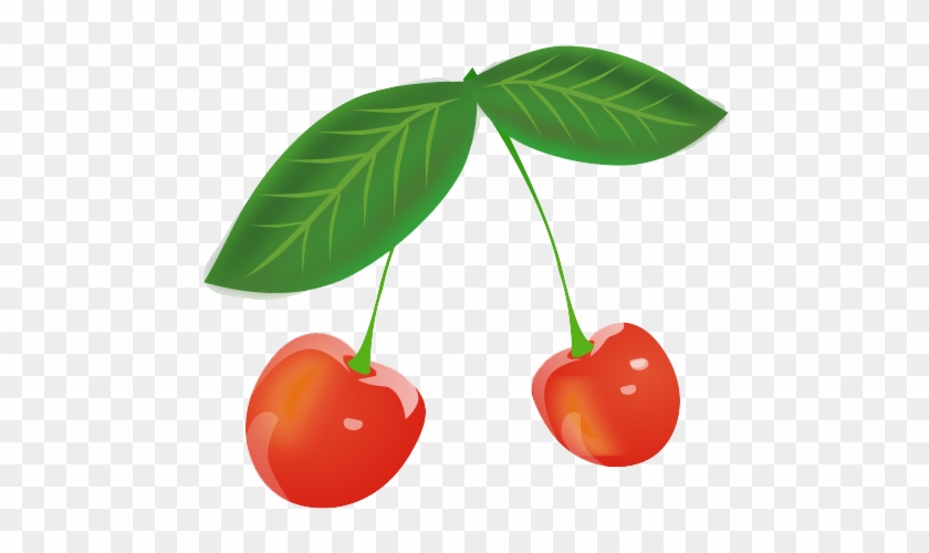 Cherry - Gambar Buah Cherry Merah #429728