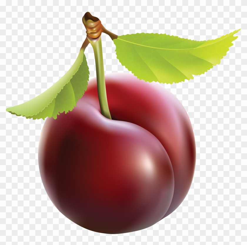 Cherry Clipart Plums - Plum Png #429778