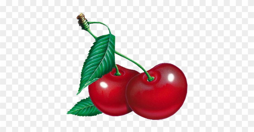 Cherry Clipart Five - Вишня Картинка #429782