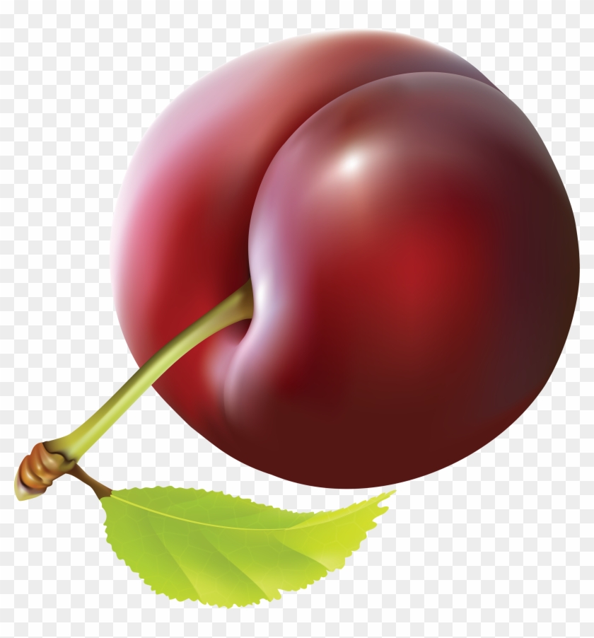Cherry Clipart Plums - Clipart Images Of Plum #429807