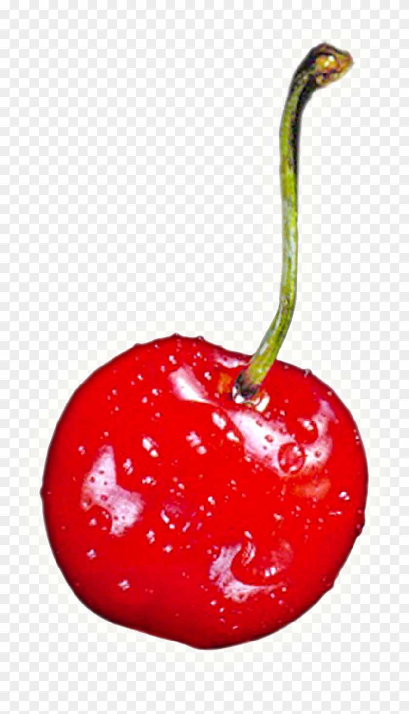 Cherry Clipart Single Cherry - Red Cherries Fridge Magnet Stocking Filler, Ref:f-f3fm #429808