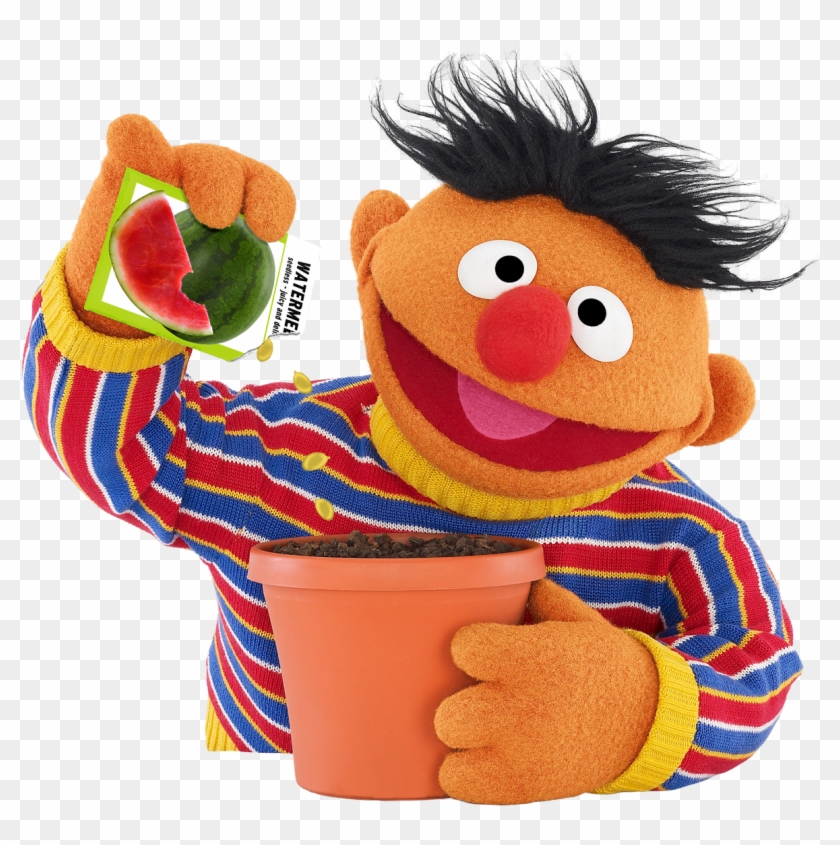 Ernie - Ernie Sesame Street Png #430007