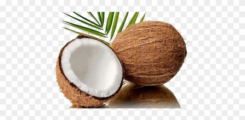 Husked Coconut - Coconut Cut In Half #430021