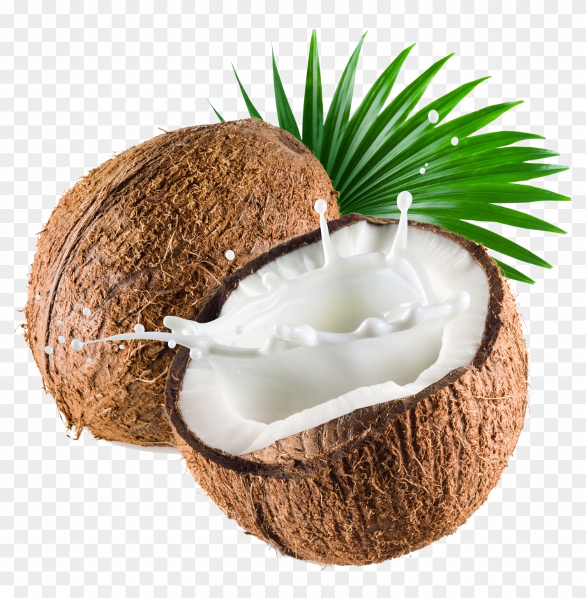 Coconut Milk Coconut Water Thai Cuisine - Coconut Stock #430028