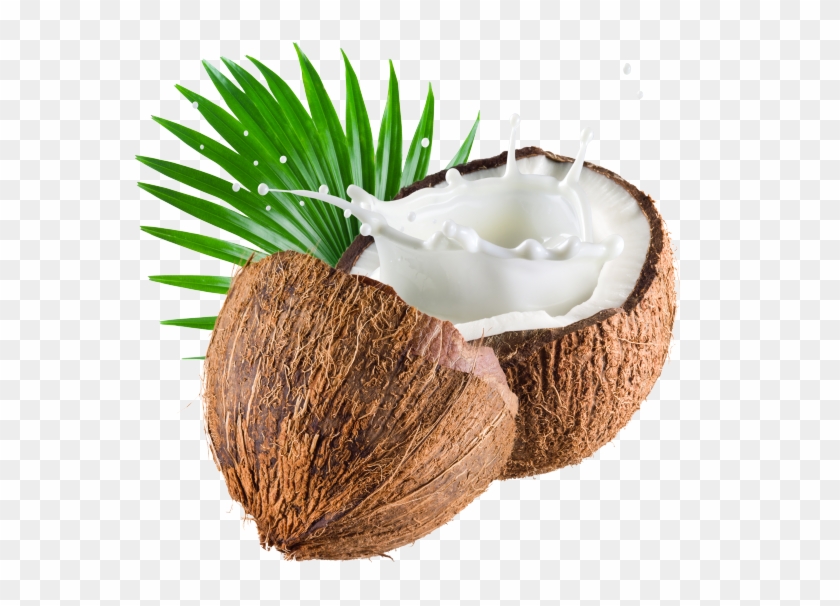 Орех, Кокос, Walnut, Coconut, Walnuss, Kokosnuss, Noix, - Z Natural Foods Coconut Milk Powder 5 Lbs #430031