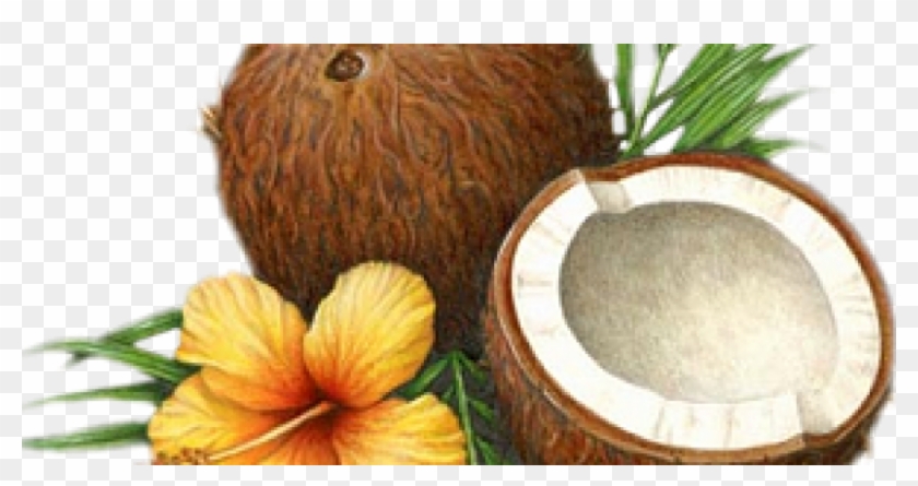 Surprising Beauty Benefits Of Coconut Oil - Coconut Oil #430064